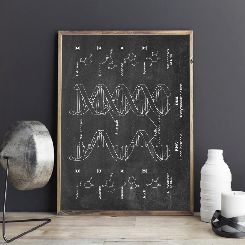 Star Map Poster - DNA Patent Wall Art Genetics Posters